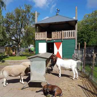 featured image thumbnail for post Kinderboerderij Schoterhoeve - детская ферма в Хаарлеме