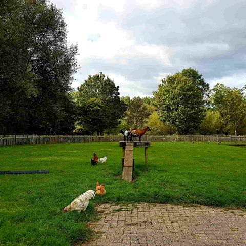 featured image thumbnail for post Informatieboerderij Zorgvrij - огромный kinderboerderij на настоящей ферме