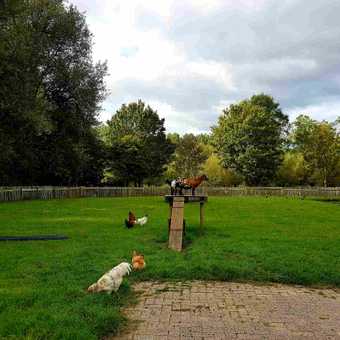 featured image thumbnail for post Informatieboerderij Zorgvrij - огромный kinderboerderij на настоящей ферме